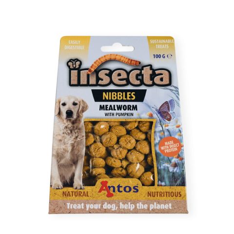 Insecta Nibbles Gusano de Harina & Calabaza 100g