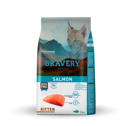 bravery-gato-kitten-salmon