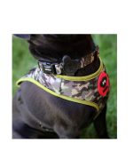 BRNX Collar Perro Camuflaje