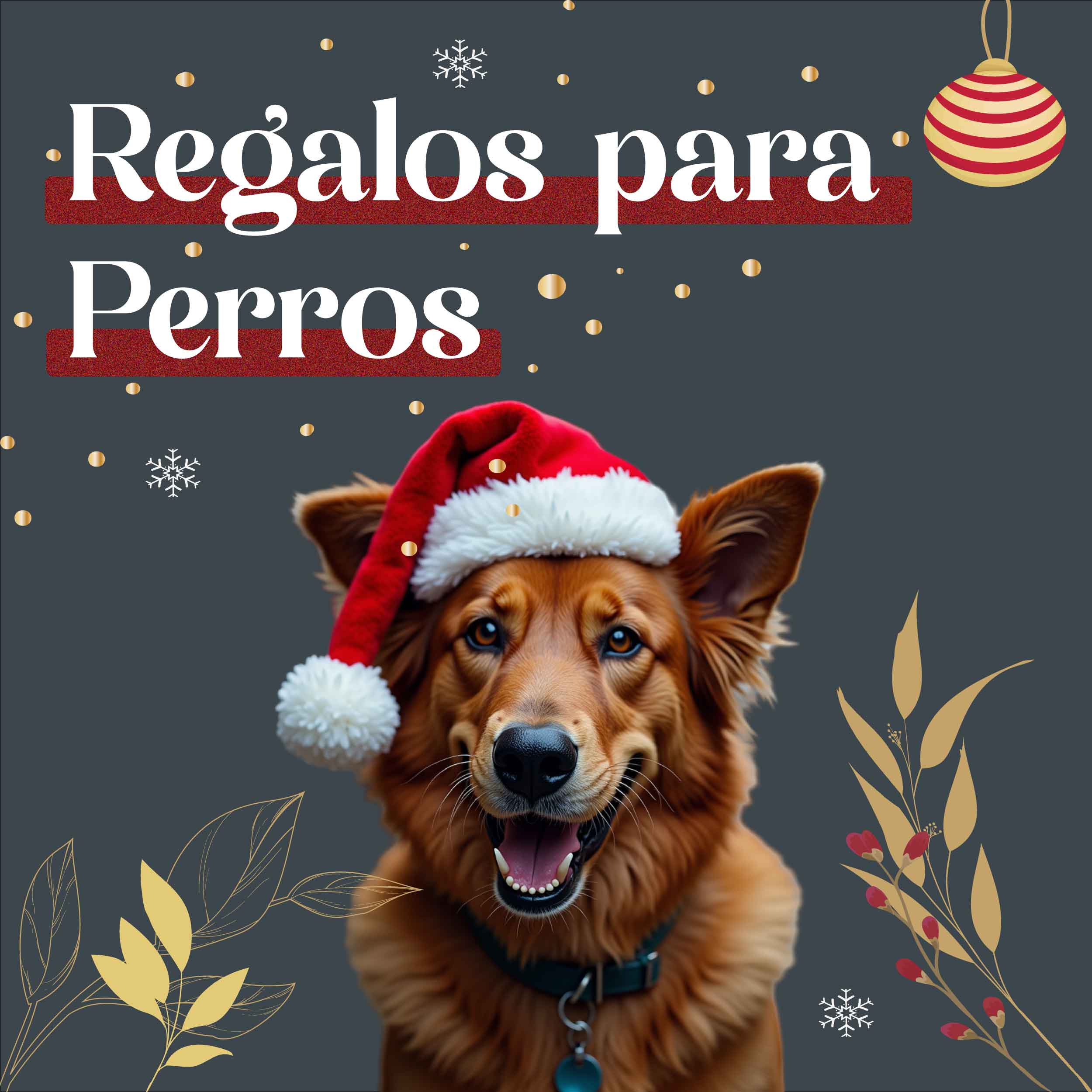 Regalos para Perros Pet Bronx