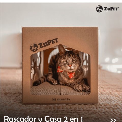 Zupet Rascador Cat Home 2 en 1