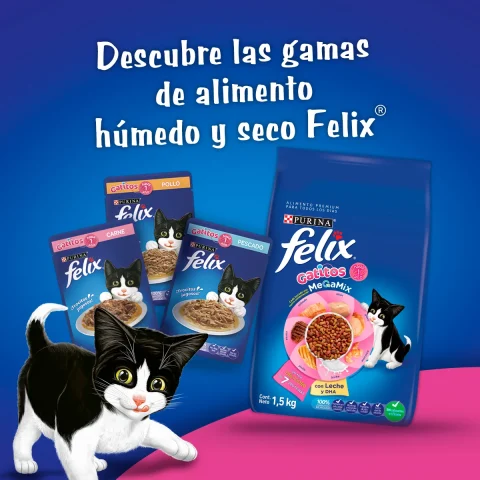 Felix Gatitos 3kg