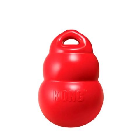 Kong Bounzer L