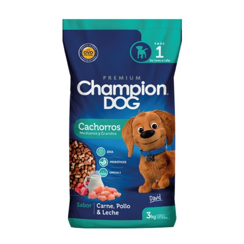 champion-dog-cachorros