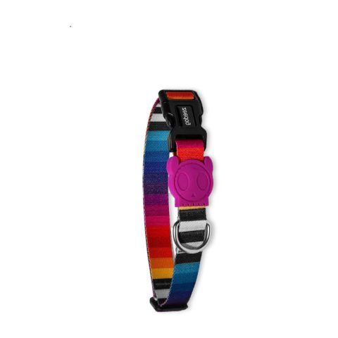 ZeeDog Collar Perro Prisma